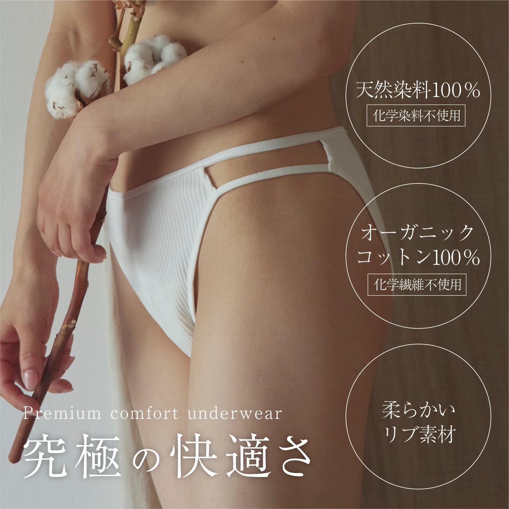 241115_bra_wt.JPG