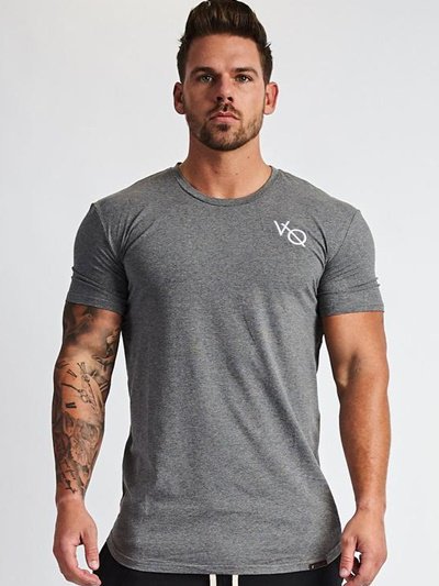 ヴァンキッシュフィットネス【Vanquish Fitness】ESSENTIAL ジムウェア 半袖Tシャツ＆膝上ショートパンツ 上下セット グレー