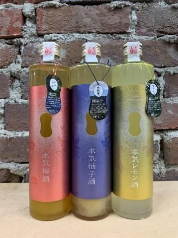 人気セール 匿名配送 本気梅酒 500ml 1ダース 12本セト ラスト www