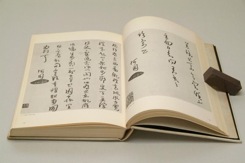 八大山人書畫集 赤井清美 【中古本】 - 書道用具専門店 西本皆文