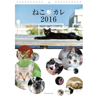 <img class='new_mark_img1' src='https://img.shop-pro.jp/img/new/icons47.gif' style='border:none;display:inline;margin:0px;padding:0px;width:auto;' />ねこカレ2016