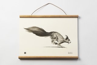 TEEMU JARVI / SMALL POSTER      Squirrel