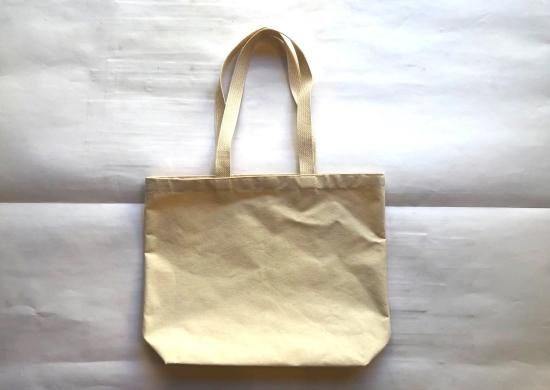 EQUINOX / Creature Tote Bag Gila Monster