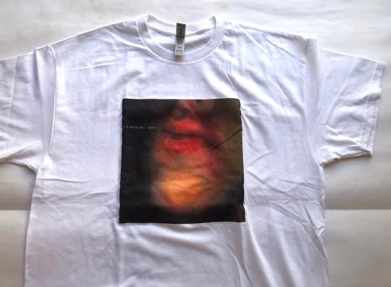 MUSIC TEE/ PJ HARVEY DRY
