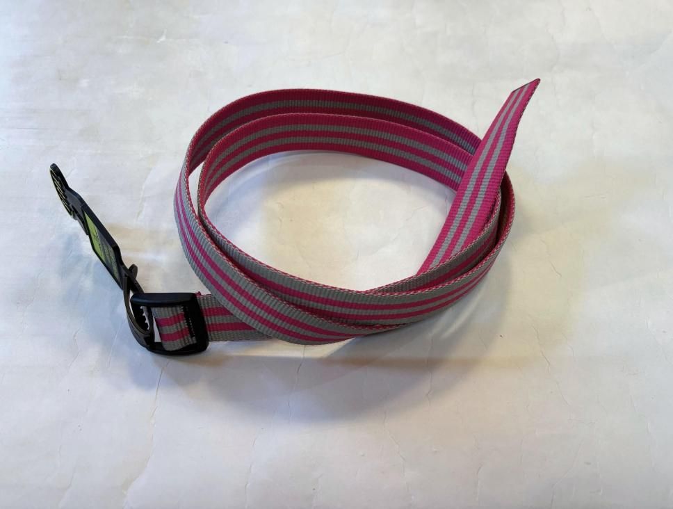 BISON DESIGNS / Stripe Belt