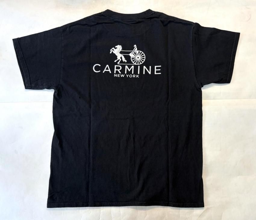 GDSS / CARMINE Print Tee