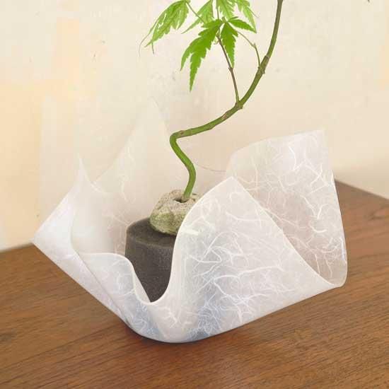 Flower Tray（フラワートレー） - NJ STYLE 美しいアクリル・ラック