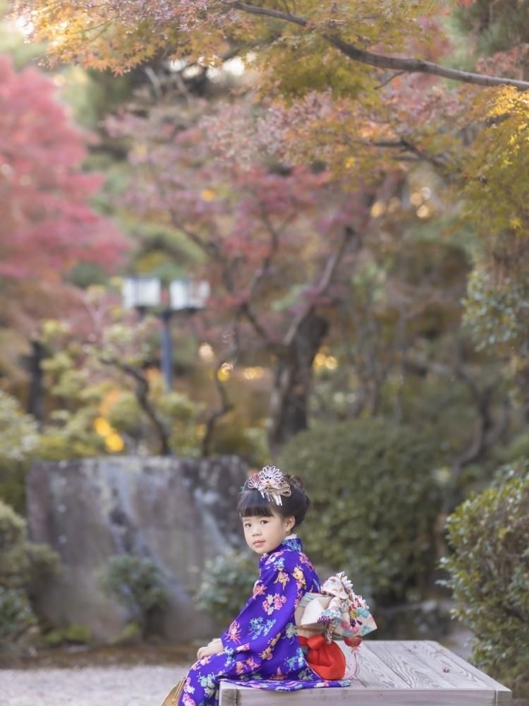 7歳〉アンティーク着物 7-g - Codorait キッズドレス 七五三 7歳〉アンティーク着物 7-g - Codorait キッズドレス 七五三