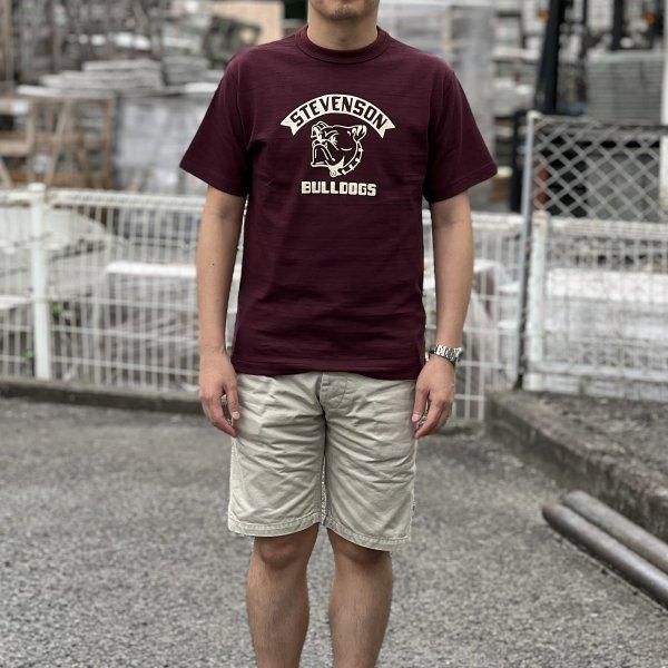 ネコポス送料200円]ウエアハウス Lot 4601 STEVENSON プリントTシャツ