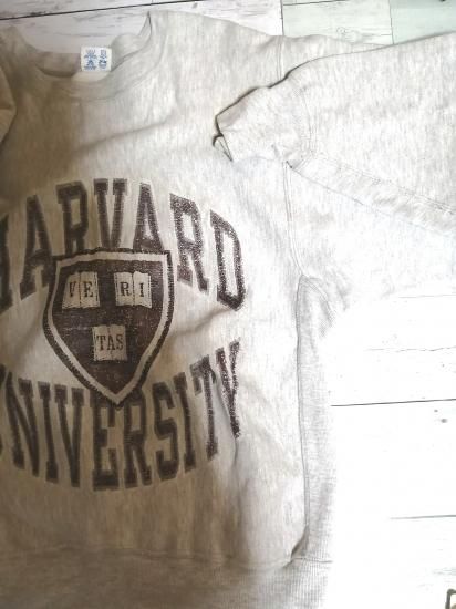 033010● Champion HARVARD トレーナー L