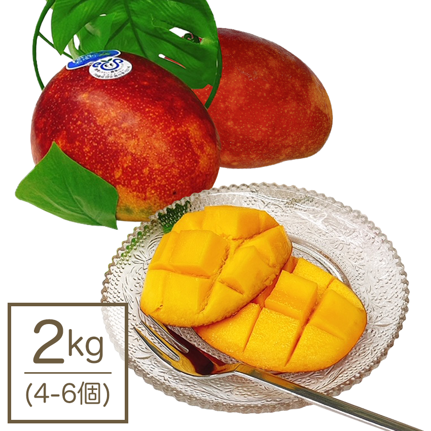 石垣島 完熟マンゴー2kgの通販 Patio石垣島公式オンラインショップ 石垣島 完熟マンゴー2kgの通販 Patio石垣島公式オンラインショップ
