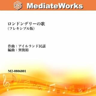 ɥǥ꡼βΡե쥭֥Mixing Series