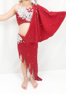 新品 高級 エジプト製 ベリーダンス 衣装 赤 ゴージャス Gekiyasu 