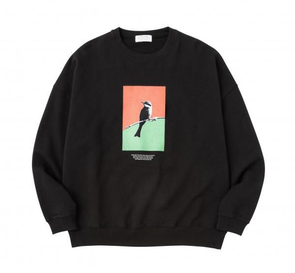 BIRD Inkjet Oversized Sweat