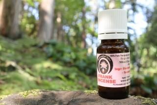 FRANKINCENSE（フランキンセンス・乳香）4ml - 9D shift