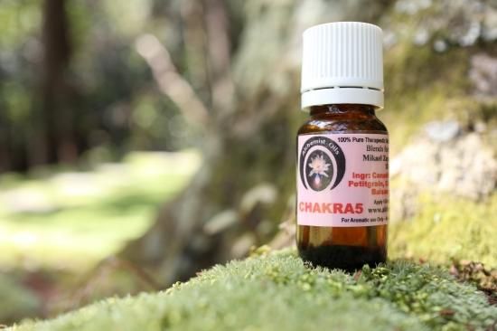 第2チャクラの調整と活性化オルゴナイト☆平型（第2チャクラ活性化のオイル封入 第2チャクラの調整と活性化オルゴナイト☆平型（第2チャクラ活性