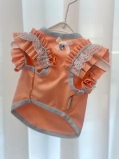 ¨ǼSweet Cooling Frill Tops /Raffine Mong<img class='new_mark_img2' src='https://img.shop-pro.jp/img/new/icons21.gif' style='border:none;display:inline;margin:0px;padding:0px;width:auto;' />