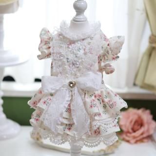 ¨Ǽۥեԡƹ352526cm
<img class='new_mark_img2' src='https://img.shop-pro.jp/img/new/icons20.gif' style='border:none;display:inline;margin:0px;padding:0px;width:auto;' />