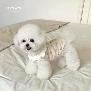¨Ǽͽ۾ȥ졼ʡBOWWW