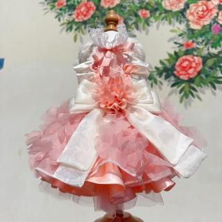 ͽۥեԥ󥯥ɥ쥹<img class='new_mark_img2' src='https://img.shop-pro.jp/img/new/icons14.gif' style='border:none;display:inline;margin:0px;padding:0px;width:auto;' />