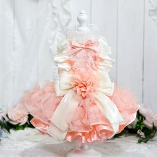 ¨Ǽۥեԥ󥯥ɥ쥹<img class='new_mark_img2' src='https://img.shop-pro.jp/img/new/icons14.gif' style='border:none;display:inline;margin:0px;padding:0px;width:auto;' />