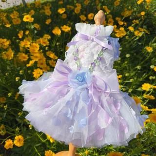 ͽۥǡɥ쥹ѡץ<img class='new_mark_img2' src='https://img.shop-pro.jp/img/new/icons14.gif' style='border:none;display:inline;margin:0px;padding:0px;width:auto;' />