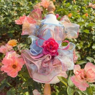 ͽۥեǥȥåץ<img class='new_mark_img2' src='https://img.shop-pro.jp/img/new/icons14.gif' style='border:none;display:inline;margin:0px;padding:0px;width:auto;' />