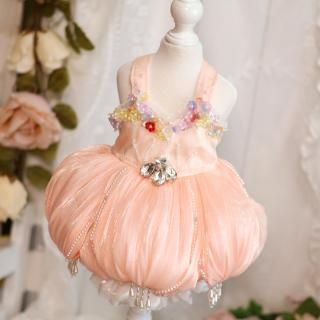 Flower fairies dress¨Ǽ