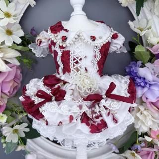 ͽۥΡ֥ԡ<img class='new_mark_img2' src='https://img.shop-pro.jp/img/new/icons14.gif' style='border:none;display:inline;margin:0px;padding:0px;width:auto;' />