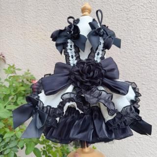 ͽۥեǥ󥷥硼ȥɥ쥹ʥ֥åߥۥ磻ȡ<img class='new_mark_img2' src='https://img.shop-pro.jp/img/new/icons14.gif' style='border:none;display:inline;margin:0px;padding:0px;width:auto;' />
