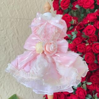 ͽۥǥ󥷥硼ȥɥ쥹<img class='new_mark_img2' src='https://img.shop-pro.jp/img/new/icons14.gif' style='border:none;display:inline;margin:0px;padding:0px;width:auto;' />