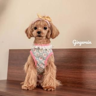 ¨Ǽ۾ȥåץ<img class='new_mark_img2' src='https://img.shop-pro.jp/img/new/icons16.gif' style='border:none;display:inline;margin:0px;padding:0px;width:auto;' />