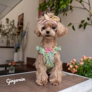 ¨Ǽۥܥ˥ȥåץ<img class='new_mark_img2' src='https://img.shop-pro.jp/img/new/icons16.gif' style='border:none;display:inline;margin:0px;padding:0px;width:auto;' />