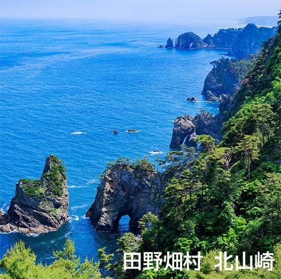 製造元公式通販】「田野畑村産」わかめの一本だし-日高見市場（末永海産）