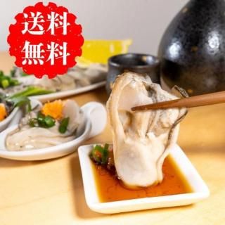 <img class='new_mark_img1' src='https://img.shop-pro.jp/img/new/icons61.gif' style='border:none;display:inline;margin:0px;padding:0px;width:auto;' />ڵܾ븩Ѳڡ۰ǯभ_500gξʲ