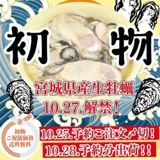 <img class='new_mark_img1' src='https://img.shop-pro.jp/img/new/icons61.gif' style='border:none;display:inline;margin:0px;padding:0px;width:auto;' />ؽʪͽ󡪡١ڵܾ븩Ѳڡ۰ǯभ_500g䡪٤ξʲ
