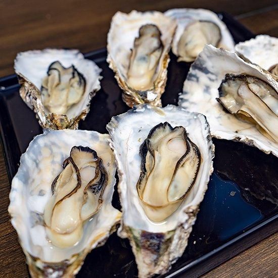 冷凍・生食用】宮城県産生食用殻付牡蠣15個 | 日高見市場（末永