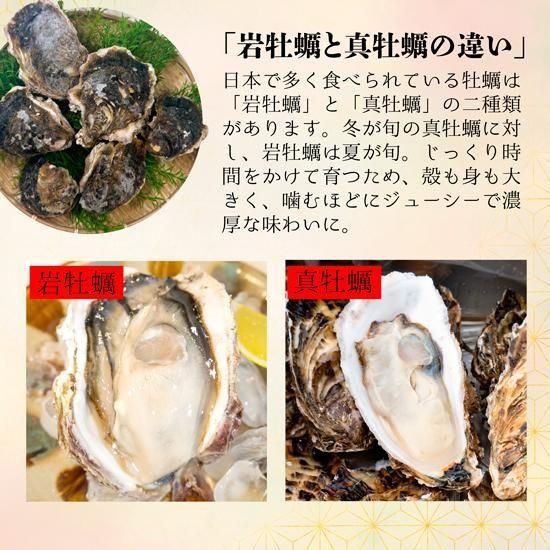 䲴_
