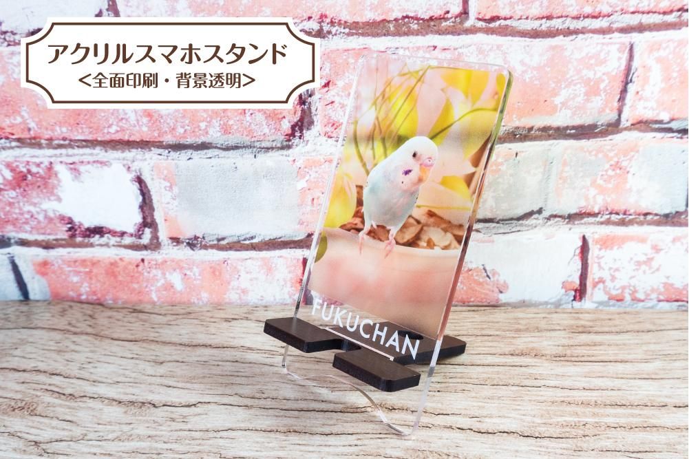 □ドールハウス□白色壁紙白色の居室(右) （ドラマ「西園寺さん