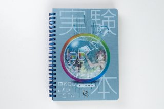 رɸ lab book ¸