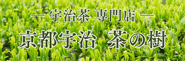 【宇治茶 専門店】 京都宇治 茶の樹
