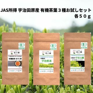 Organic Green Tea Set㡡ȯͤϡĸͭݡϪ㡦ۤ㡡ƣ硡糧å