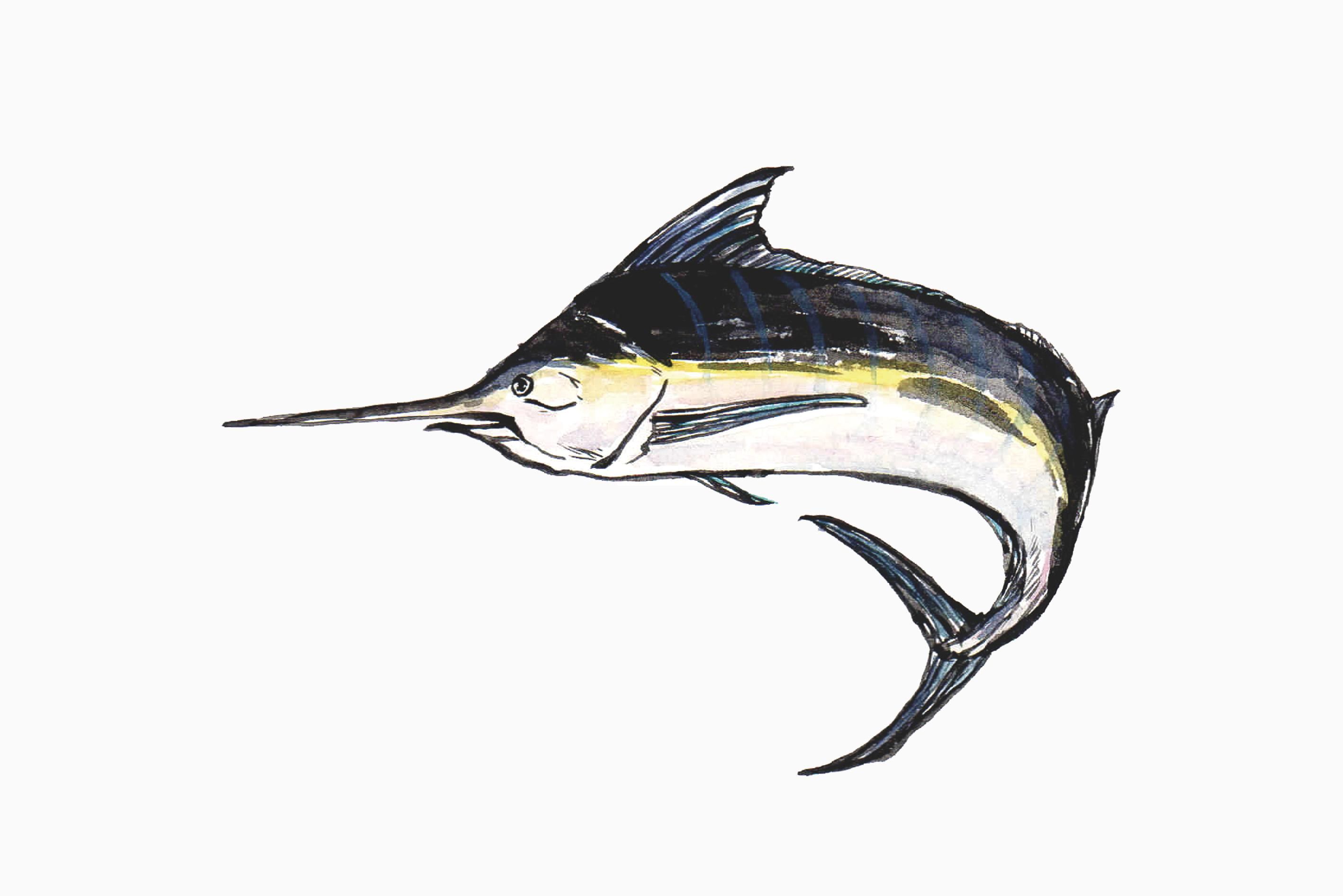 饹