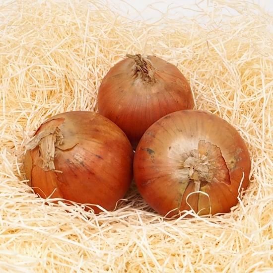 たまねぎ 農薬 化学肥料不使用 オーガニック専門店 Oyasaiya菜