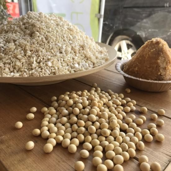 手作り味噌作りセット 米味噌 オーガニック専門店 Oyasaiya菜 手作り味噌作りセット 米味噌 オーガニック専門店 Oyasaiya菜