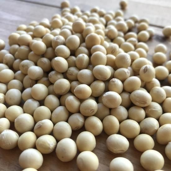 手作り味噌作りセット 合わせ味噌 オーガニック専門店 Oyasaiya菜