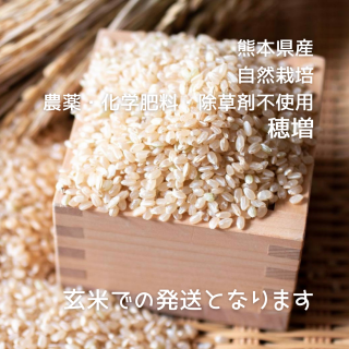 穂増(ほまし•九州産)  玄米 1kg