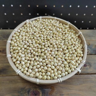 九州産自然栽培大豆(フクユタカ)　５キロ