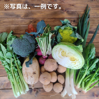 【定期便】新鮮野菜セット7品