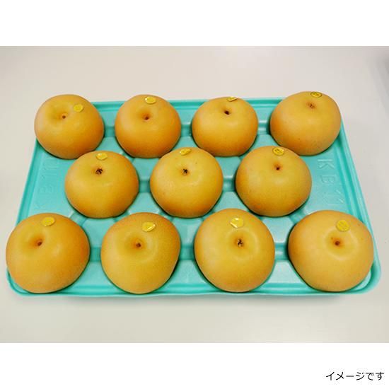 ゆかさま専用　自宅用幸水5キロ箱✖️2 ゆかさま専用 自宅用幸水5キロ箱✖️2 梨 幸水のおすすめ人気